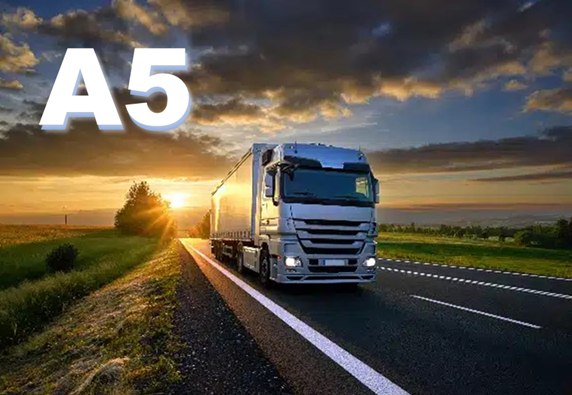 LICENCIA PROFESONAL A3